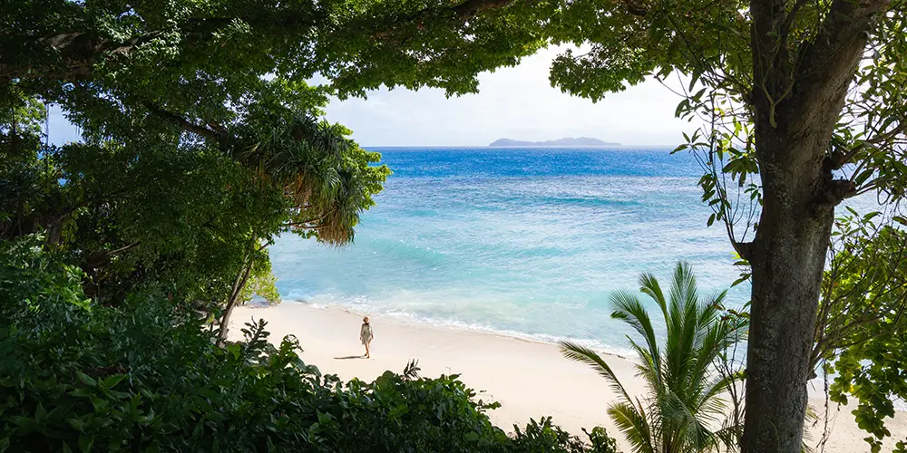 View through tropical trees to a private beach at Royal Davui Island Resort, an adults-only luxury retreat in Fiji.